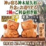 画像1: 神木屋久杉のご利益招き猫2体セット (1)