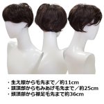 画像10: 送料無料！レディーストップヘアピース「リュネール」 (10)