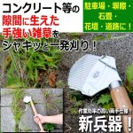 画像1: コンクリートの隙間に生えた雑草を簡単に刈り取れる両手持ち用強化型雑草ブラシ2516 (1)