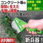 画像1: 送料無料！コンクリートの隙間に生えた雑草を簡単に刈り取れる雑草ブラシ2510 (1)