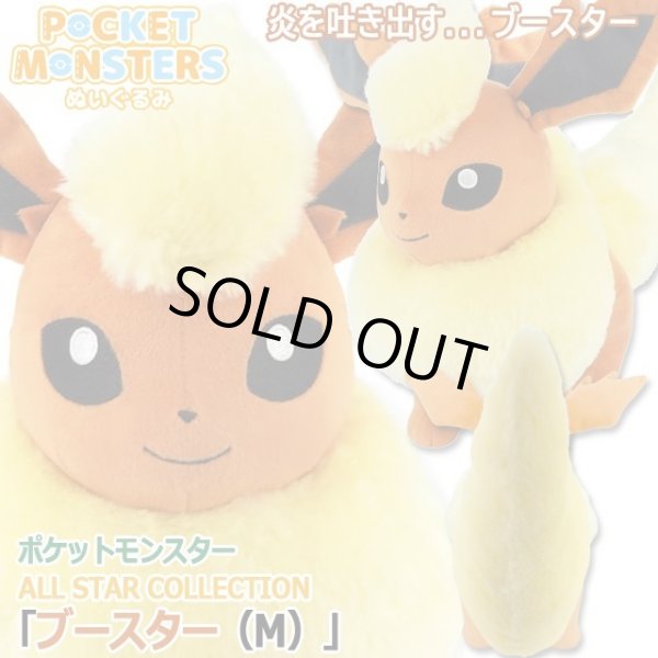 ポケットモンスターALL STAR COLLECTION「ブースター（M）」ISK