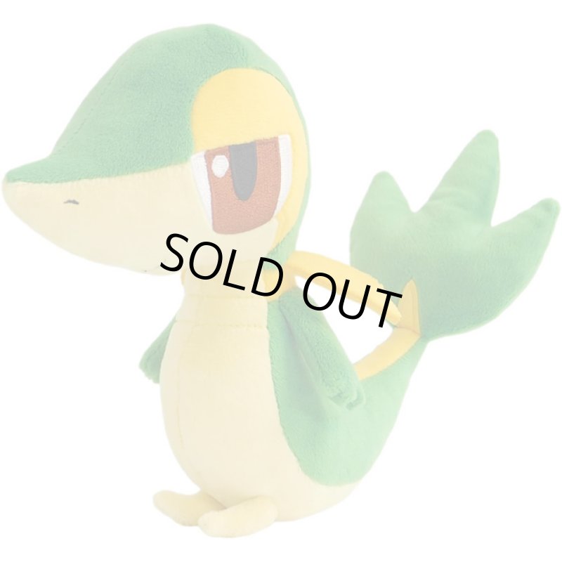 画像2: ポケットモンスターALL STAR COLLECTION「ツタージャ(S)」 (2)