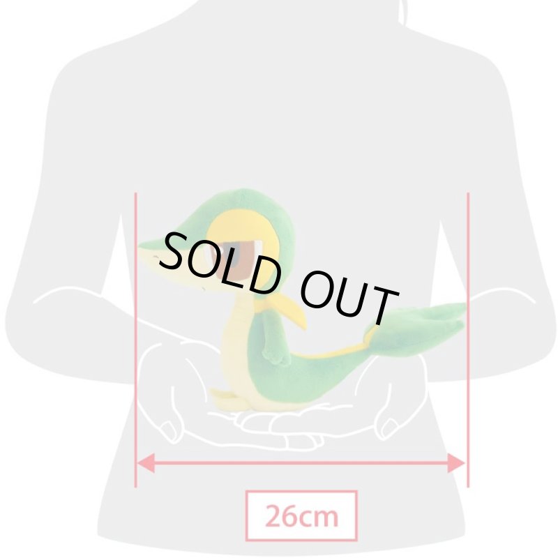 画像6: ポケットモンスターALL STAR COLLECTION「ツタージャ(S)」 (6)