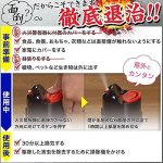 画像6: バルサン香りプラス「クリアフローラルの香り」 46.5g（6〜10畳用 ）4個セット (6)