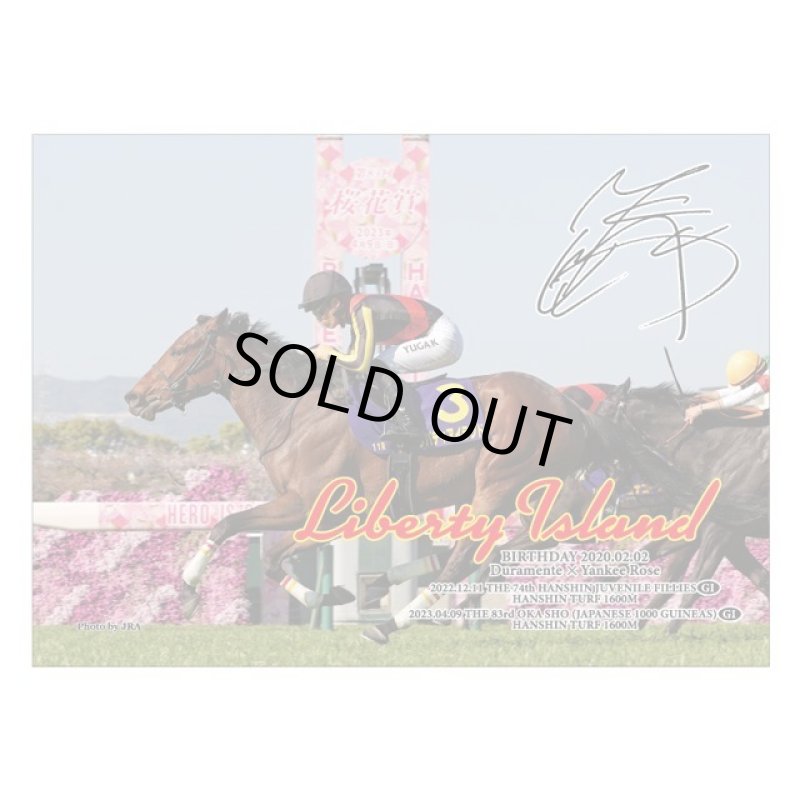 画像2: 「リバティアイランド」ジグソーパズル500ピース(木製フレームセット) (2)