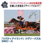 画像1: 「リバティアイランド」ジグソーパズル500ピース (1)