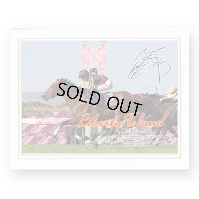 画像6: 「リバティアイランド」ジグソーパズル500ピース(木製フレームセット) (6)