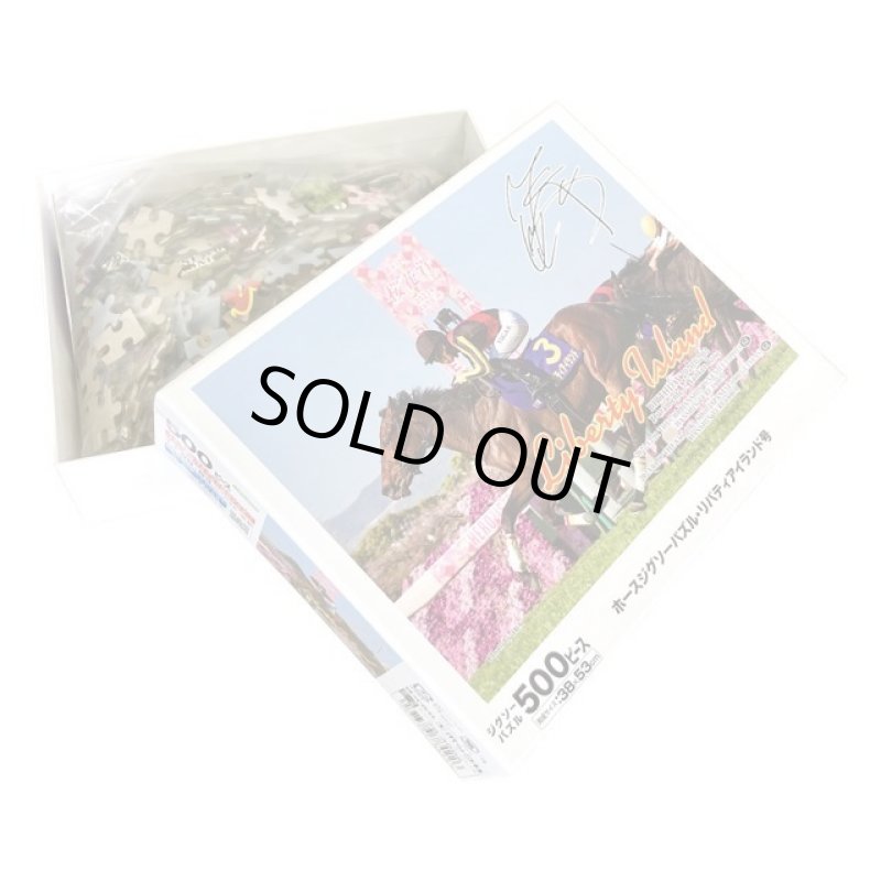 画像4: 「リバティアイランド」ジグソーパズル500ピース(木製フレームセット) (4)