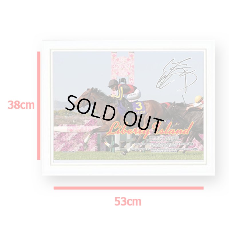 画像5: 「リバティアイランド」ジグソーパズル500ピース(木製フレームセット) (5)