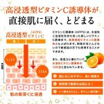 画像4: 送料無料！ビタミンC誘導体APPS高濃度配合VC-100ブライトモイスチャーゲル300g[3点]   (4)