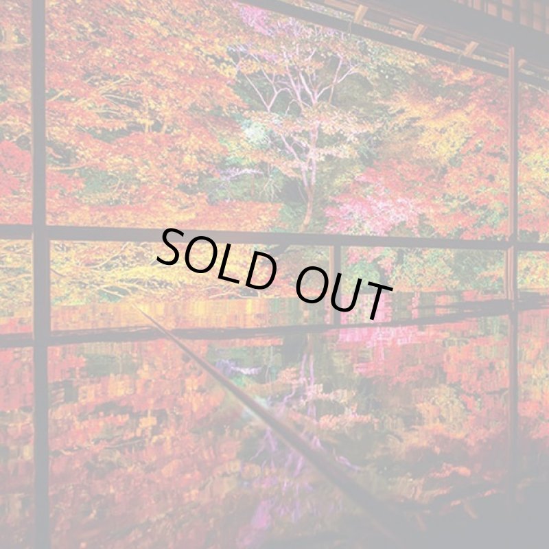 画像4: ジグソー日本の風景「秋深まる瑠璃光院」フレームセット（1000P） (4)