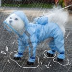 画像2: 雨でも快適ワンちゃん散歩！「フルカバーペットレインコート」 (2)