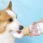 画像8: 犬用携帯水筒「ポータブルペット水エサやりポット」 (8)