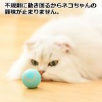 画像3: 猫の運動不足とストレス解消！「360度自動回転猫じゃらボール」 (3)