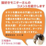 画像10: 猫の顔はめシート（12柄セット） (10)