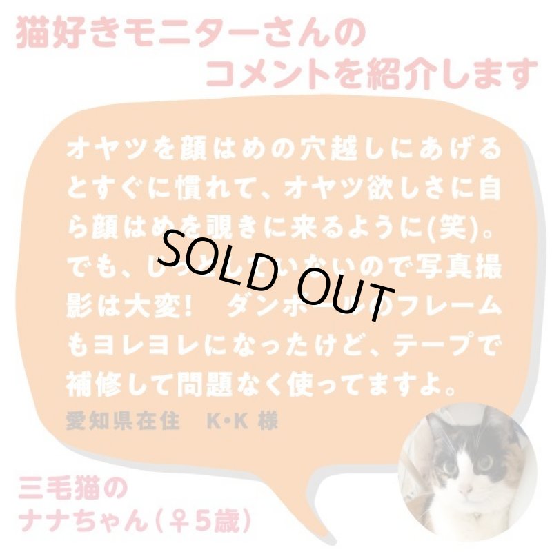 画像10: 猫の顔はめシート（12柄セット） (10)