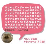 画像11: 猫の顔はめシート（12柄セット） (11)