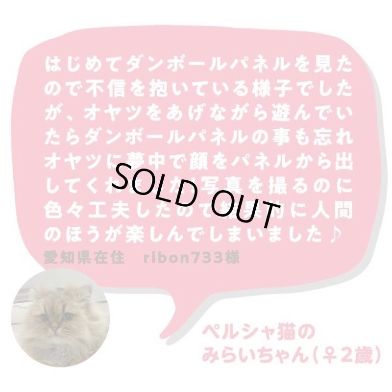 画像11: 猫の顔はめシート（12柄セット） (11)