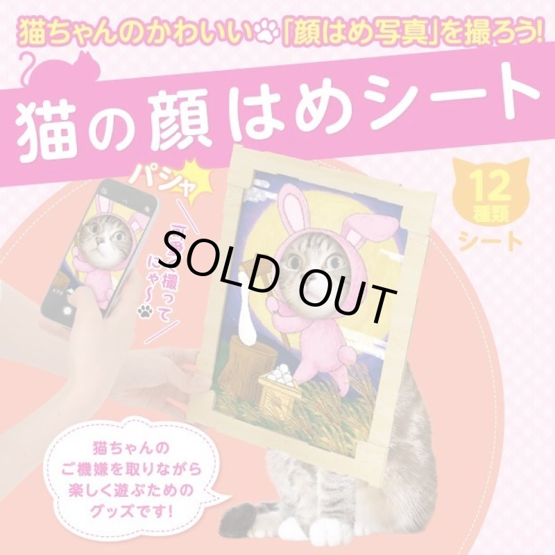 画像1: 猫の顔はめシート（12柄セット） (1)