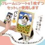 画像6: 猫の顔はめシート（12柄セット） (6)