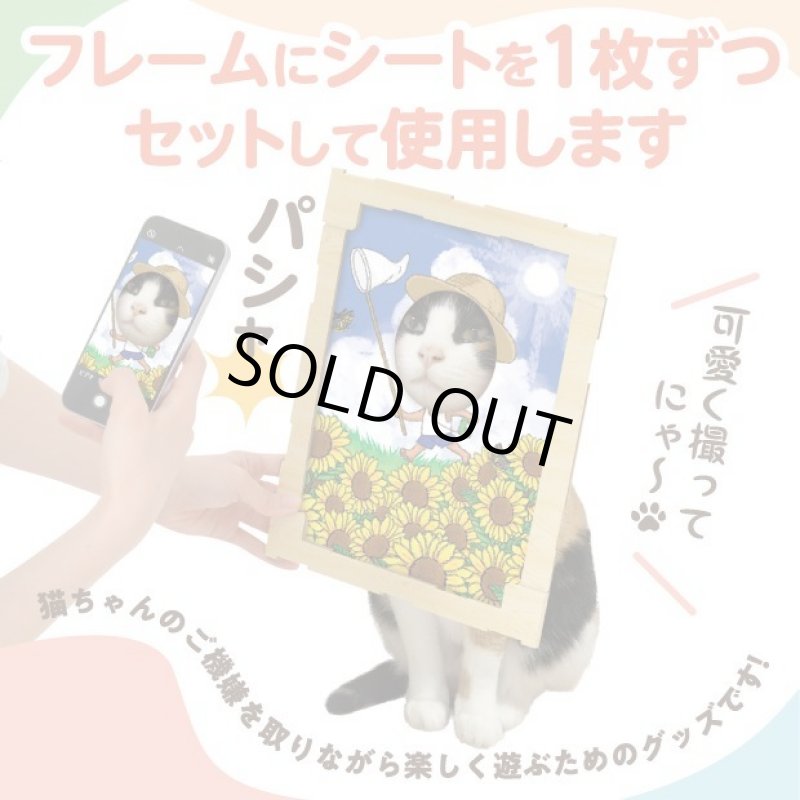 画像6: 猫の顔はめシート（12柄セット） (6)