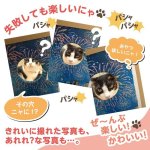 画像8: 猫の顔はめシート（12柄セット） (8)