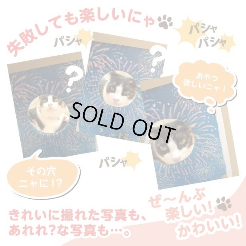 画像8: 猫の顔はめシート（12柄セット） (8)