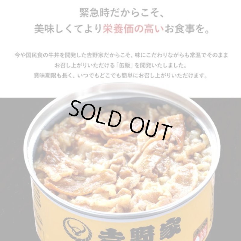 画像3: 吉野家 缶飯「豚丼160g」12缶セット (3)