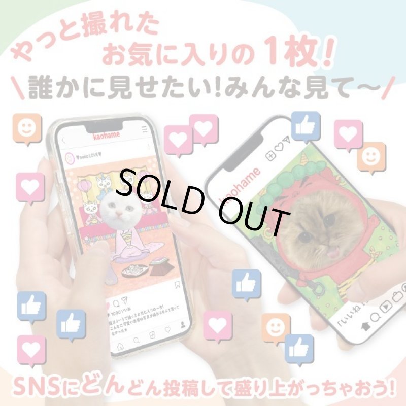 画像9: 猫の顔はめシート（12柄セット） (9)