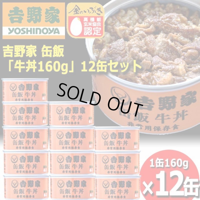 画像7: 吉野家 缶飯「牛丼160g」12缶セット (7)