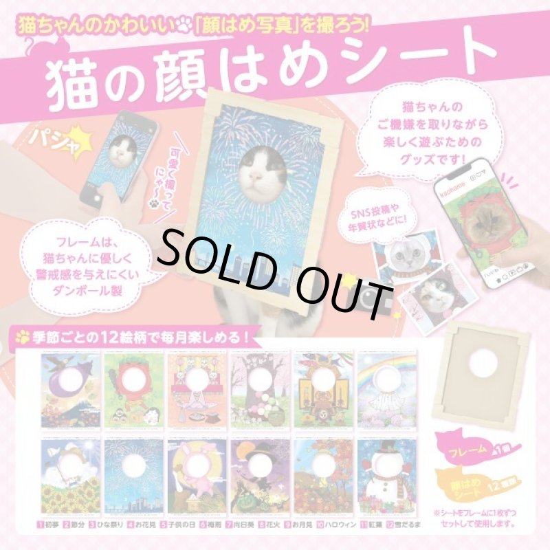 画像12: 猫の顔はめシート（12柄セット） (12)
