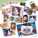 画像7: 猫の顔はめシート（12柄セット） (7)