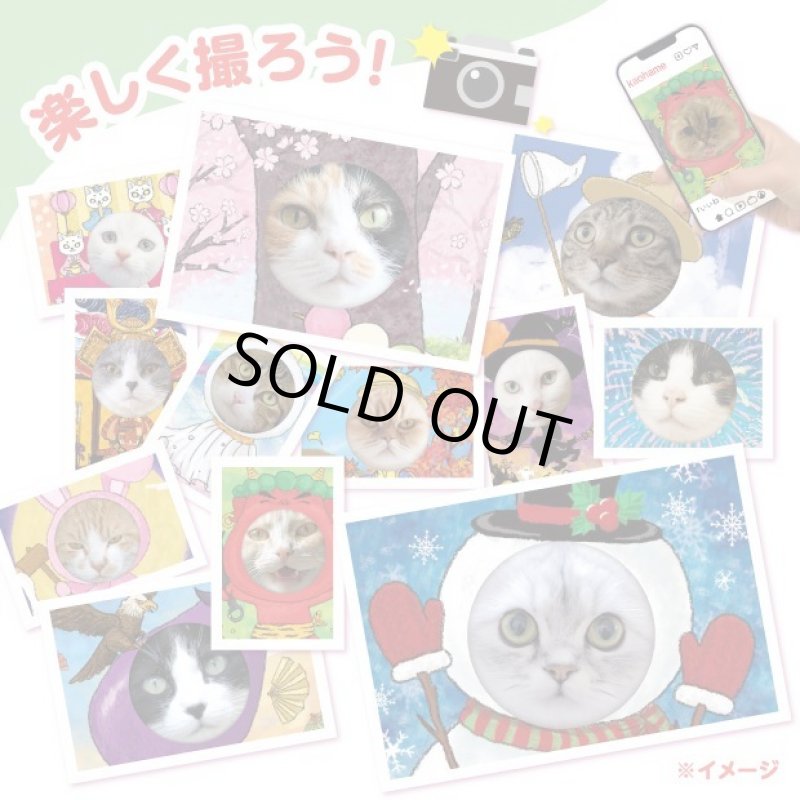 画像7: 猫の顔はめシート（12柄セット） (7)