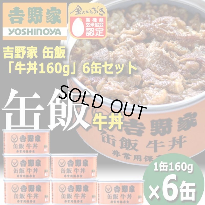 画像7: 吉野家 缶飯「牛丼160g」6缶セット (7)