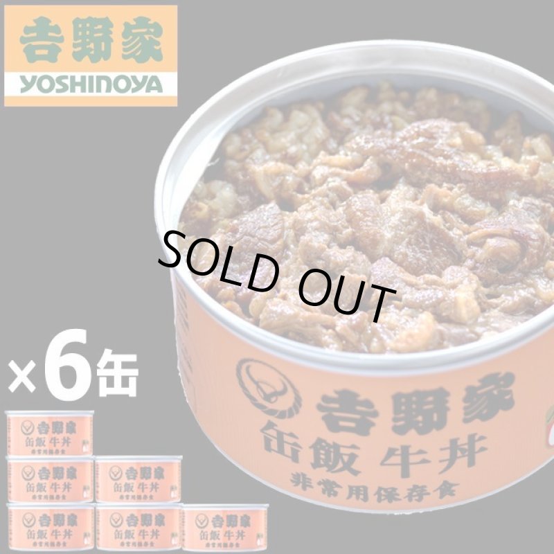 画像8: 吉野家 缶飯「牛丼160g」6缶セット (8)