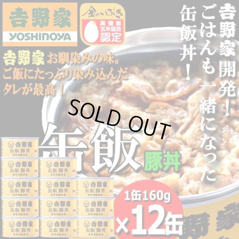 画像1: 吉野家 缶飯「豚丼160g」12缶セット (1)