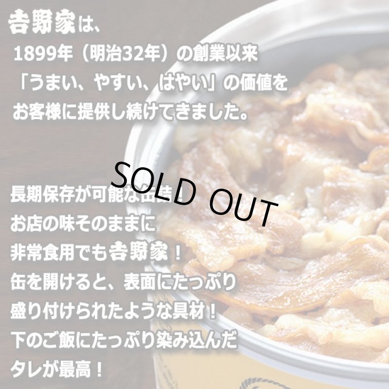 画像2: 吉野家 缶飯「豚丼160g」12缶セット (2)