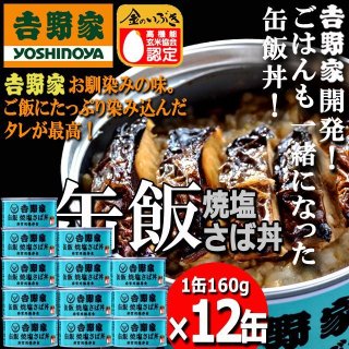 吉野家 缶飯「牛丼160g」12缶セットARR-46-1-12