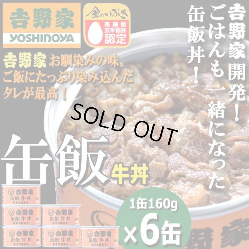 画像1: 吉野家 缶飯「牛丼160g」6缶セット (1)
