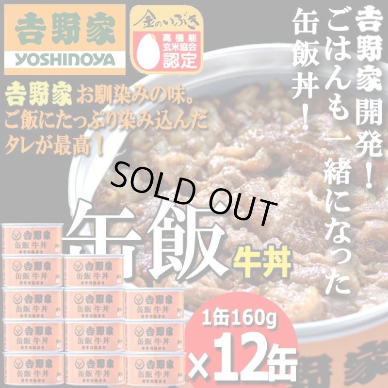 画像1: 吉野家 缶飯「牛丼160g」12缶セット (1)