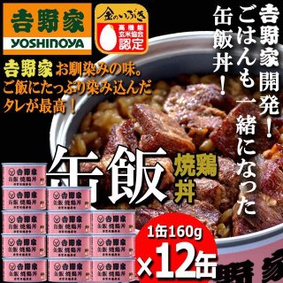 吉野家 - 吉野家 缶飯牛丼12缶セット×２ 吉野家 缶飯「牛丼160g」12缶セットARR-46-1-12
