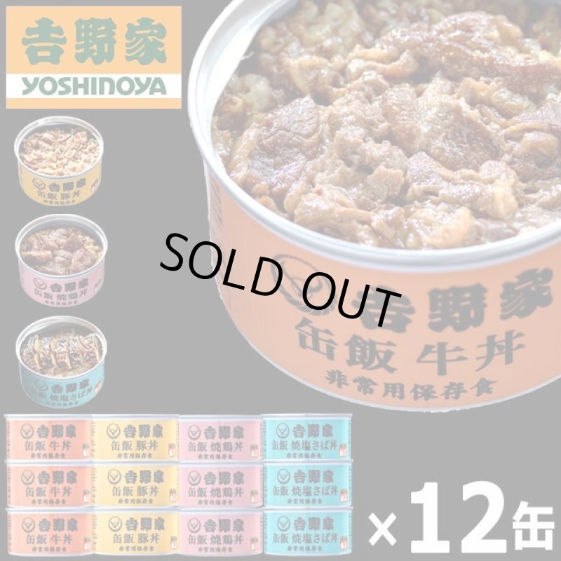 画像10: 吉野家 缶飯「牛丼・豚丼・焼鶏丼・焼塩さば丼各160g」計12缶セット (10)