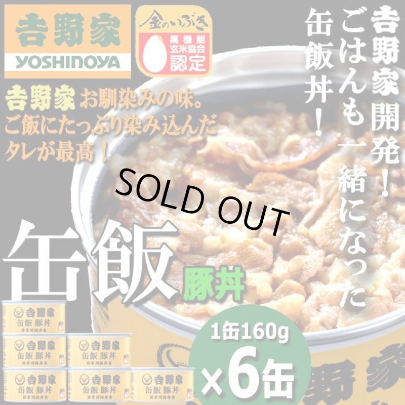 画像1: 吉野家 缶飯「豚丼160g」6缶セット (1)