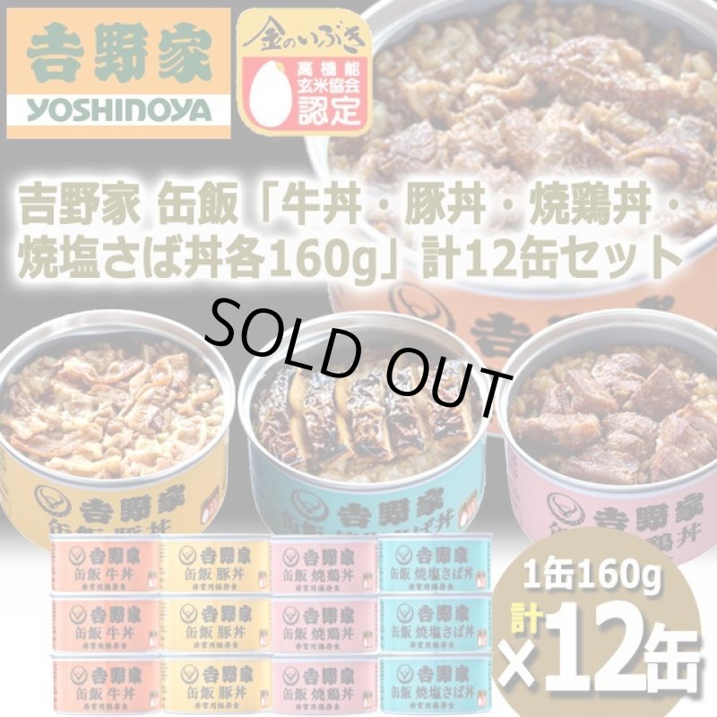 画像9: 吉野家 缶飯「牛丼・豚丼・焼鶏丼・焼塩さば丼各160g」計12缶セット (9)