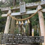 画像4: 金持神社でご祈祷された金運黄金縁起物「福来（ふくろう）」 (4)