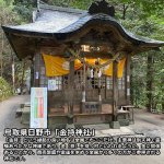 画像3: 金持神社でご祈祷された金運黄金縁起物「兎（うさぎ）」 (3)