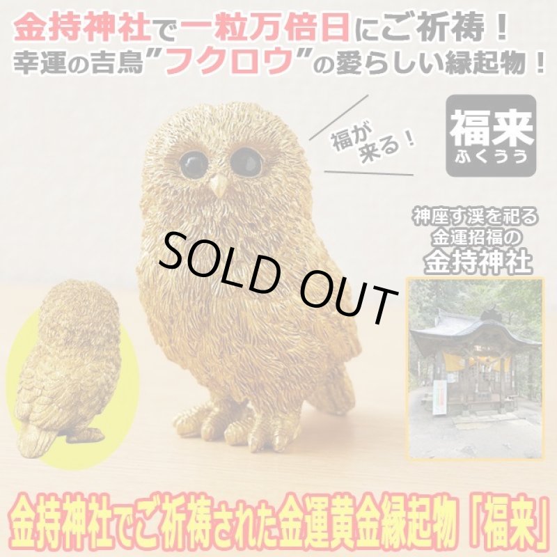 画像1: 金持神社でご祈祷された金運黄金縁起物「福来（ふくろう）」 (1)
