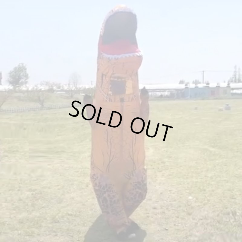 画像5: 恐竜着ぐるみ「ティラノサウルス」 (5)