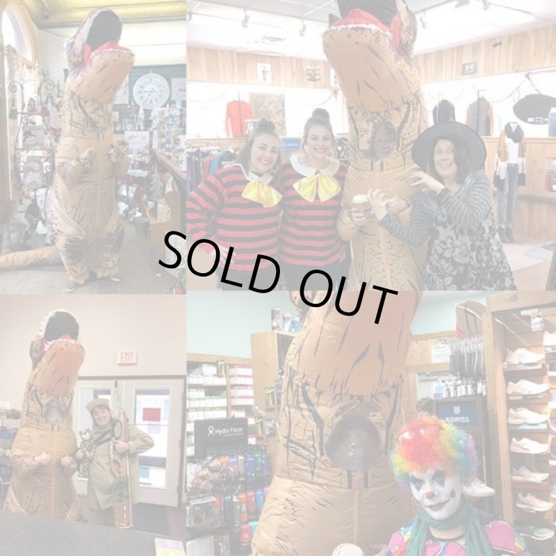 画像11: 恐竜着ぐるみ「ティラノサウルス」 (11)