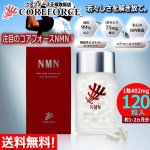 画像1: 国産純度99％のNMNを配合サプリメント コアフォースNMN120粒入（約1-2ヵ月分）  (1)